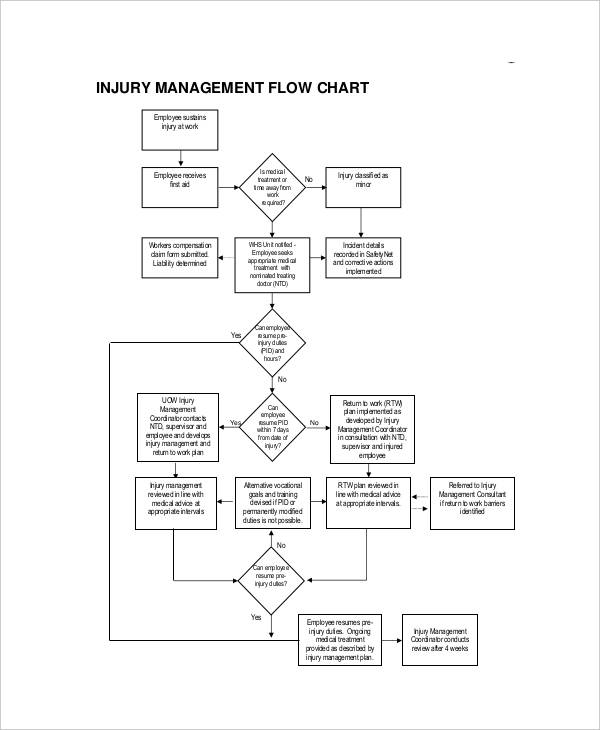 11 Management Flow Chart Examples To Download