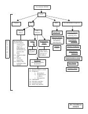 4th Amendment Flow Chart pdf Government Action S Or S Consent PC 