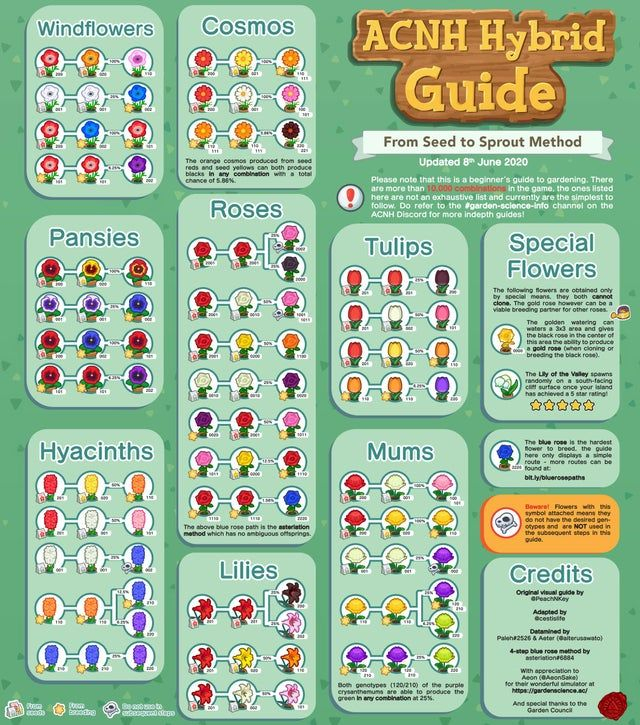 Acnh Flower Breeding Chart Parker Robison