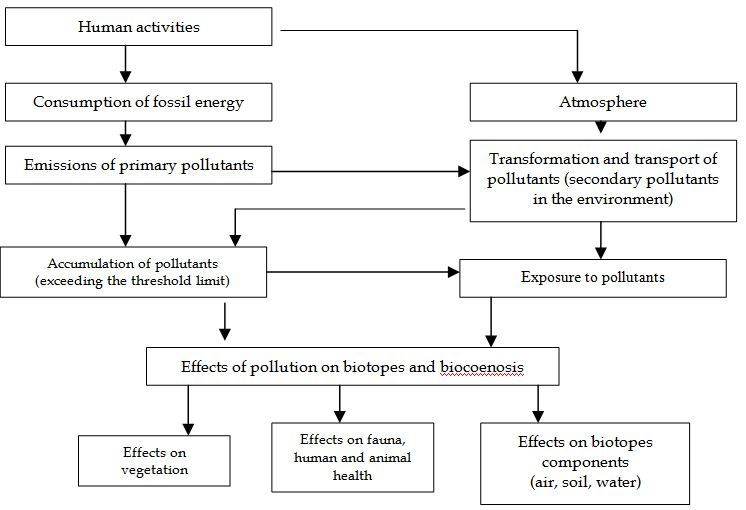 Air Pollution Flow Chart
