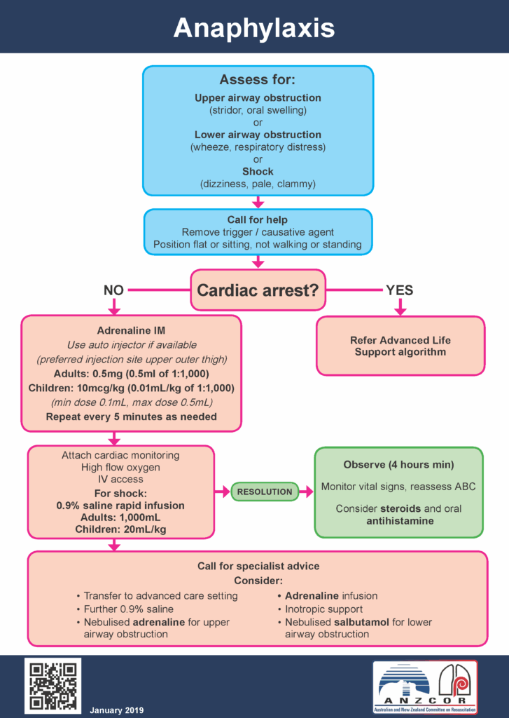 Anaphylaxis Flow Chart NBKomputer