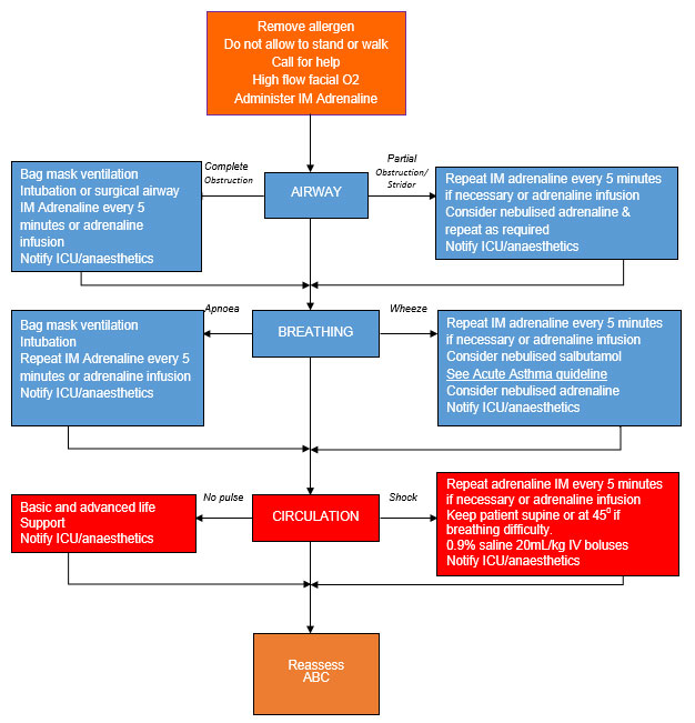 Anaphylaxis Flow Chart NBKomputer