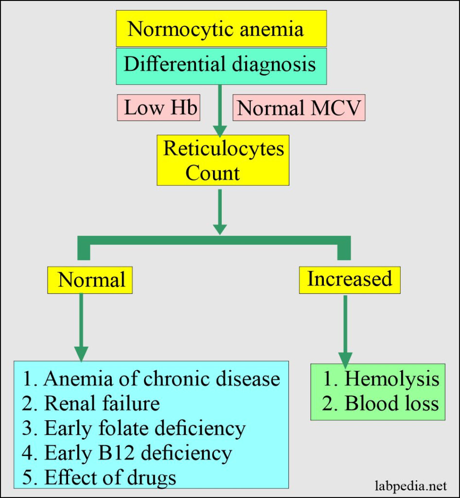 Anemia Diagnosis Flow Chart