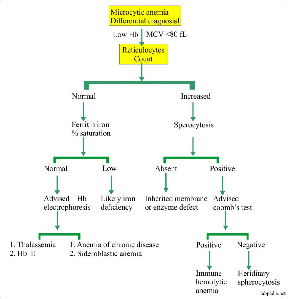 Anemia Diagnosis Flow Chart