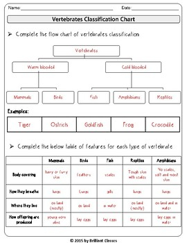 Animal Classification Vertebrates Invertebrates Flow Chart And Venn 
