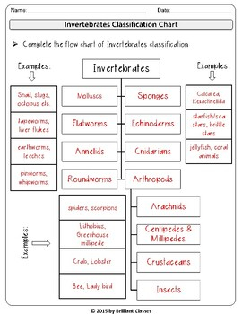 Animal Classification Vertebrates Invertebrates Flow Chart And Venn 
