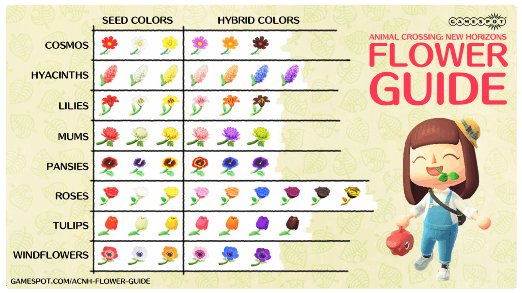 Animal Crossing Flower Animal Crossing Daily
