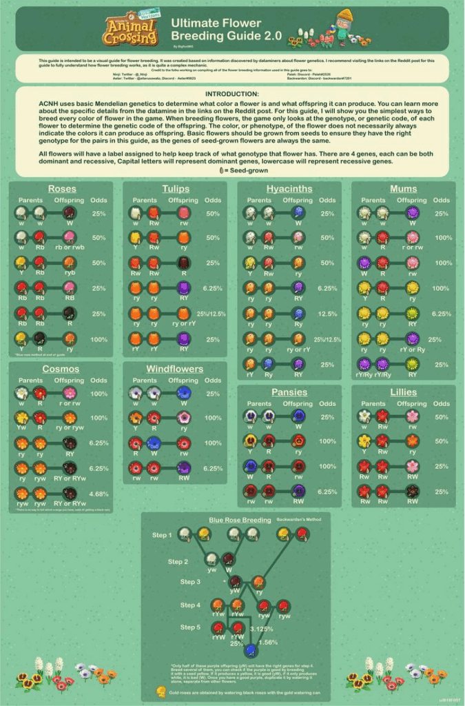 Animal Crossing Flower Breeding Chart Nola Mcknight
