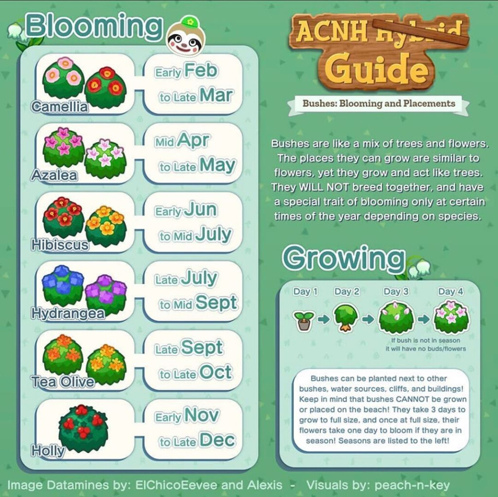 Animal Crossing New Leaf Flower Guide Theanimalcrossing