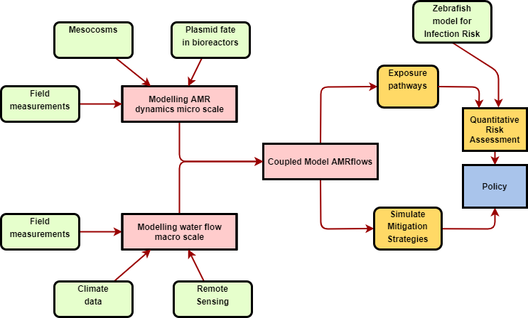 Antibiotic Resistance Flow Chart