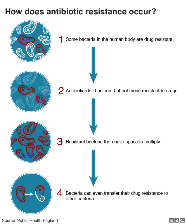 Antibiotic Resistance Flow Chart