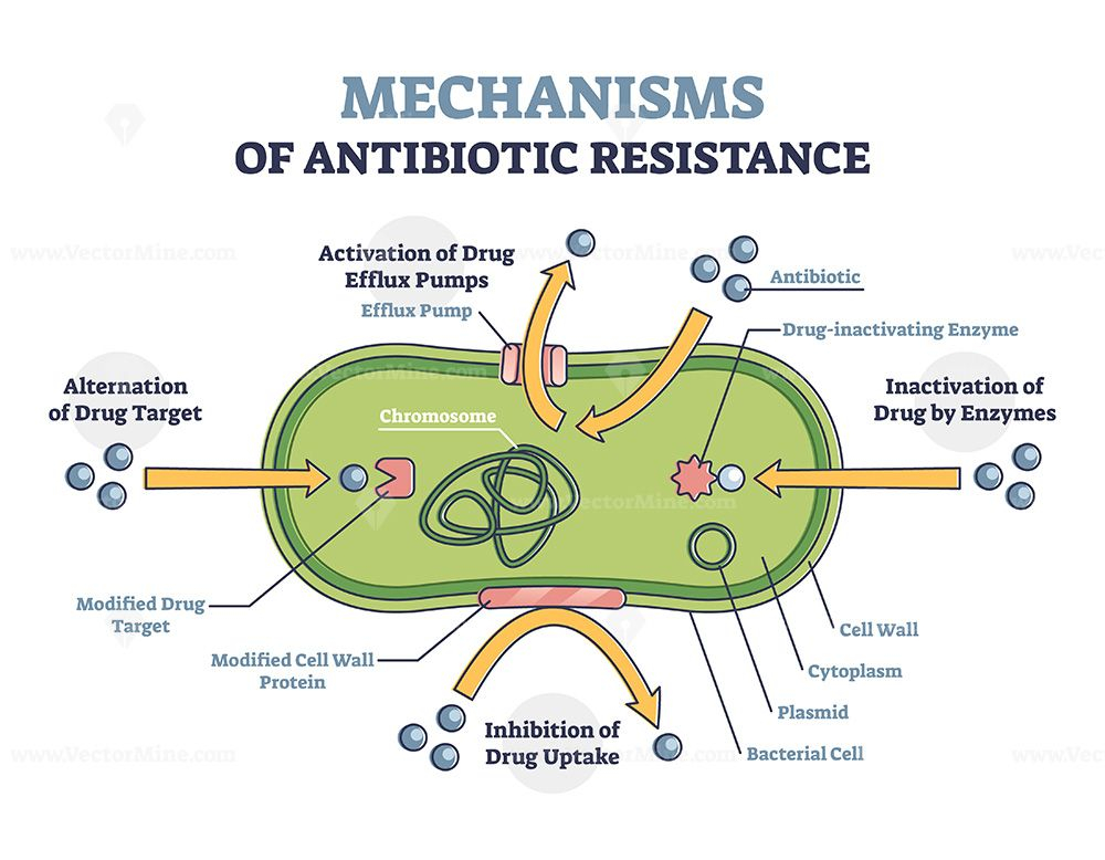 Antibiotic Resistance Outline Diagram Illustrated Mechanism In 