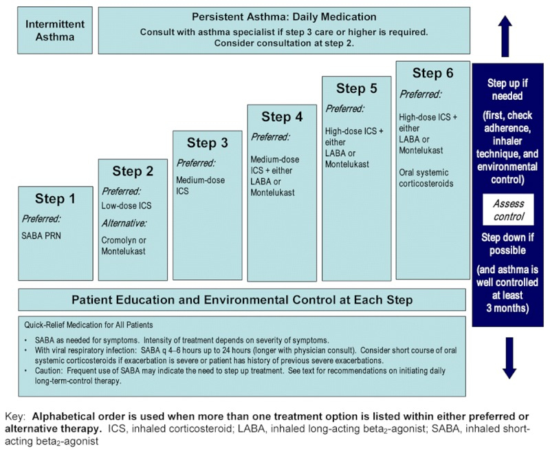 Asthma Management Flow Chart