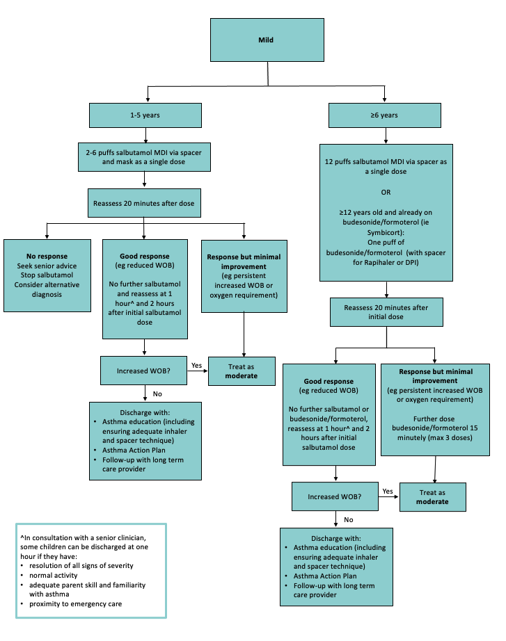 Asthma Pathophysiology Flow Chart My XXX Hot Girl