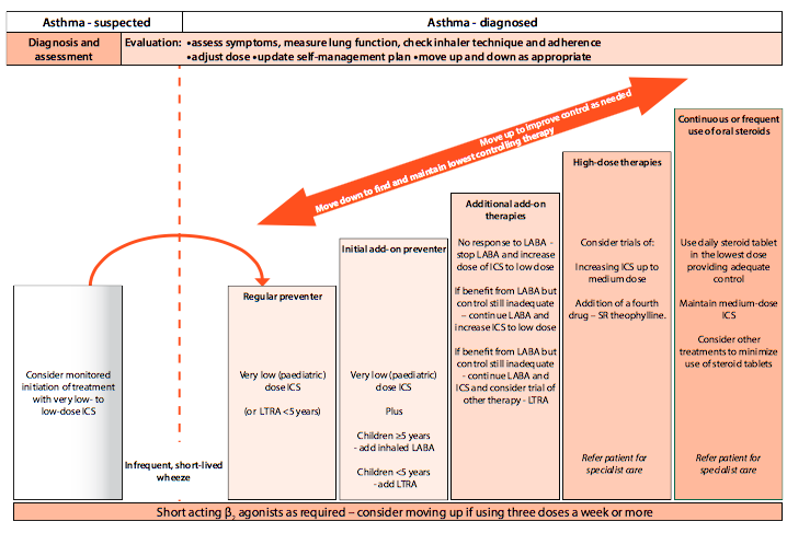 Asthma Treatment Flow Chart A Visual Reference Of Charts Chart Master