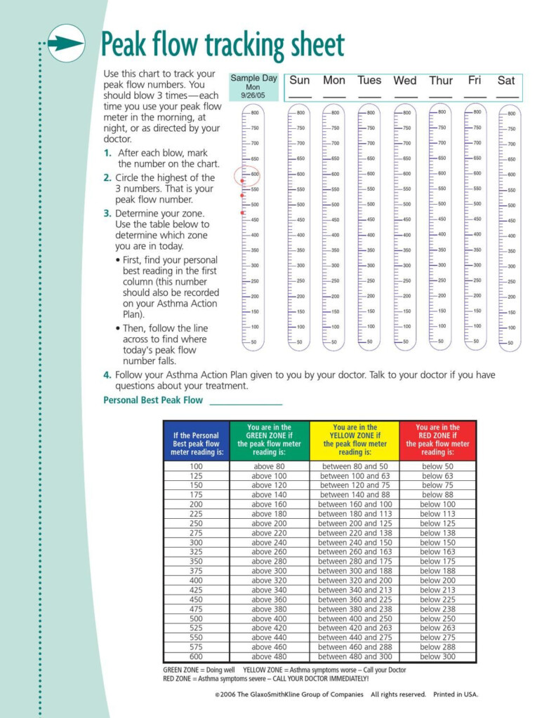 Asthma Zone Chart Peak Flow Meter 134405559613 Asthma Peak Flow Meter 