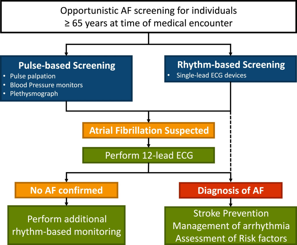 Atrial Fibrillation Cardio Guide
