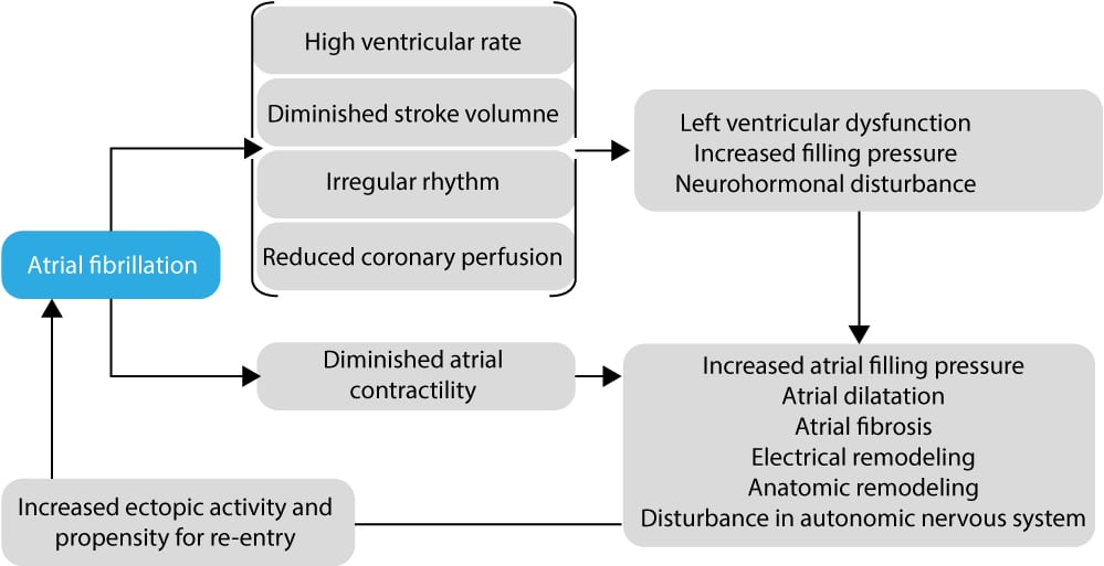 Atrial Fibrillation ECG Classification Causes Risk Factors 