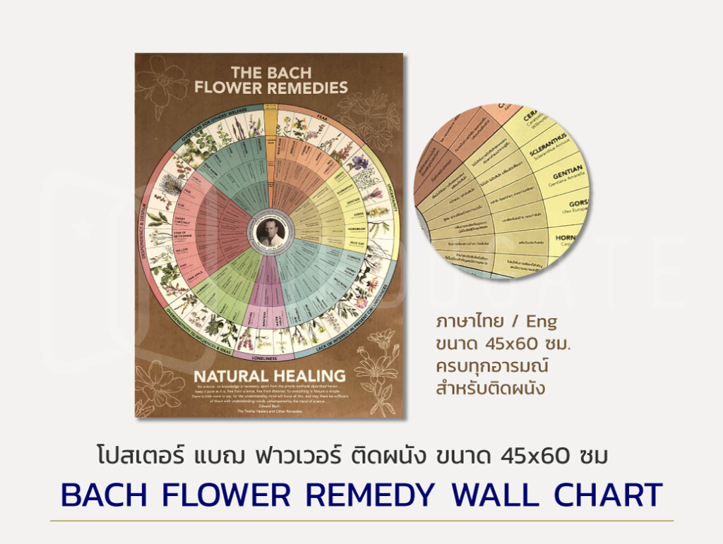 Bach Flower Essences Chart Best Flower Site