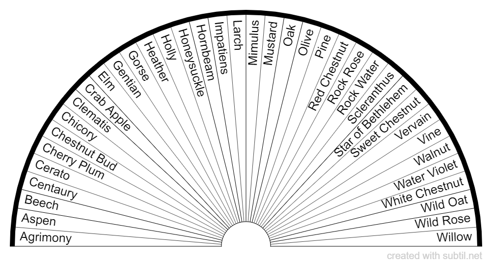 Bach Flower Essences Chart Best Flower Site