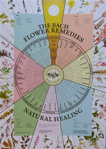 Bach Flower Essences Chart