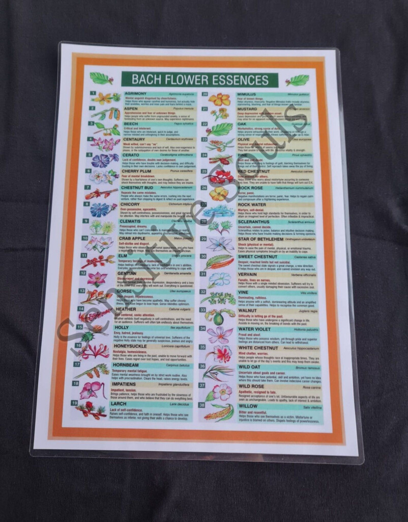 Bach Flower Essences Information Chart Etsy Flower Essences Bach 