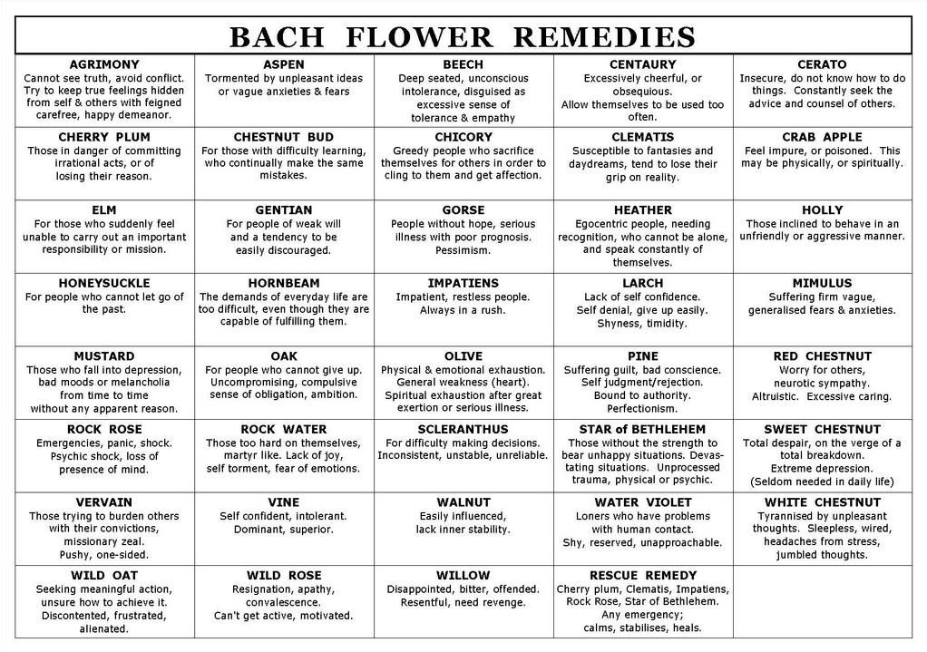 Bach Flower Remedies Diagnostic Chart Pdf Plant Tccases