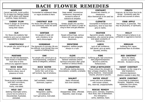 Bach Flower Remedies Diagnostic Chart