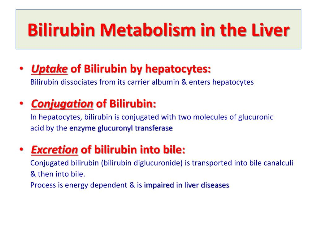 Bilirubin Metabolism Flow Chart A Visual Reference Of Charts Chart 