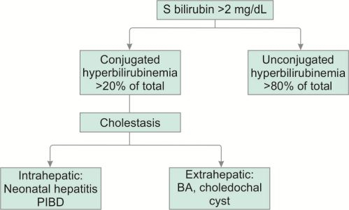 Bilirubin Metabolism Flow Chart Ponasa