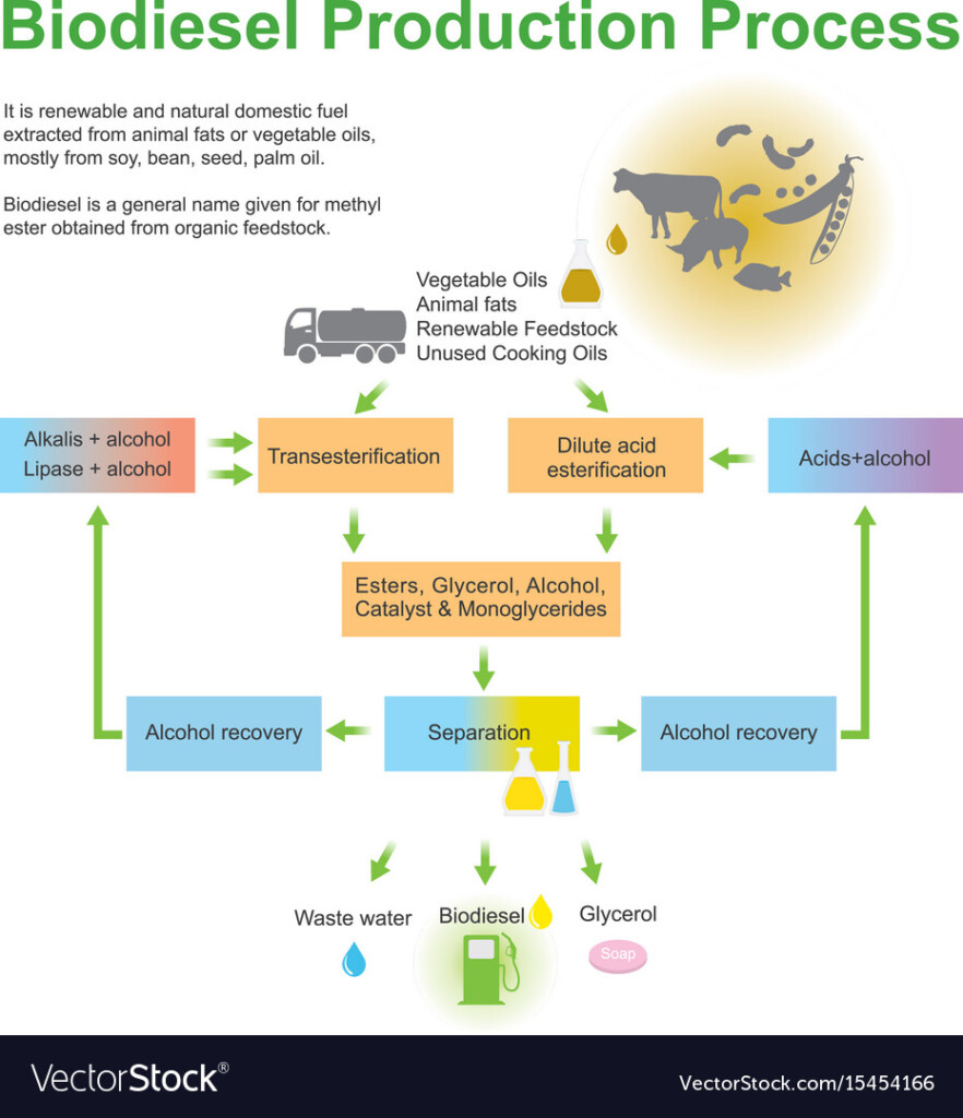 Biodiesel Production Process Flow Diagram Of Conventi Vrogue co