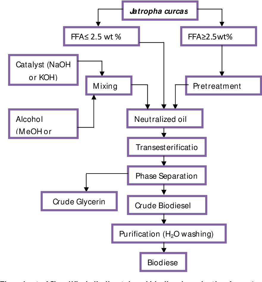 Biodiesel Production Process Flow Diagram