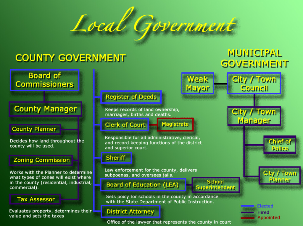 Branches Of Government Chart