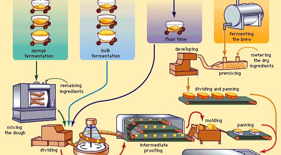 Bread Production Process Flow Diagram
