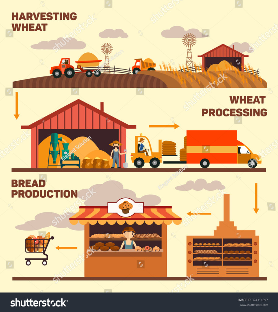 Bread Production Process Flowchart