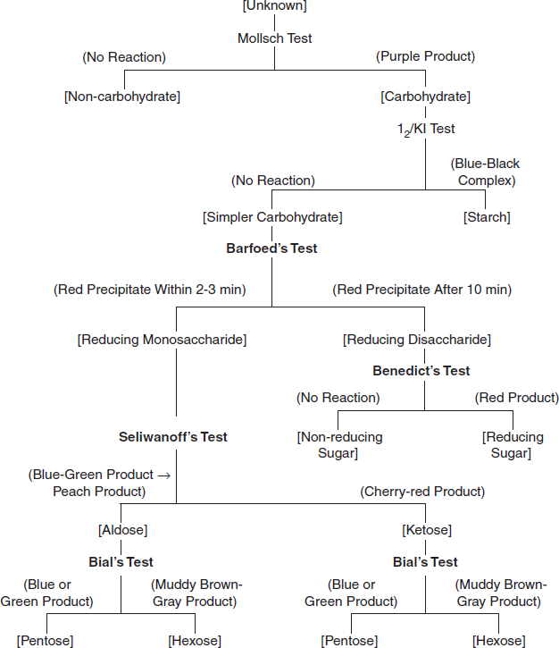 Carbohydrates Flow Chart Diagram Carbohydrates Ppt Polysacch
