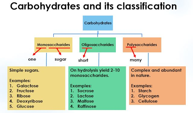 Carbohydrates Monosaccharides Oligosaccharides Polysaccharides