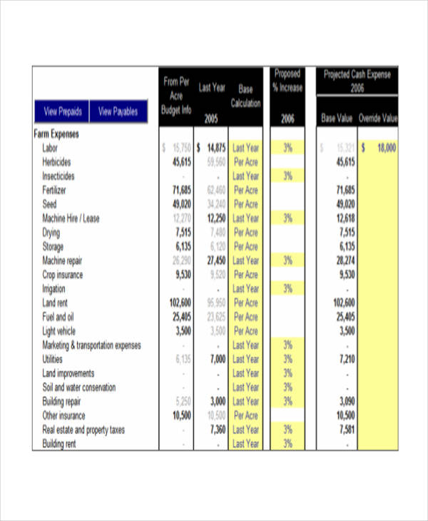 Cash Flow Chart Templates 7 Free Word PDF Format Download 