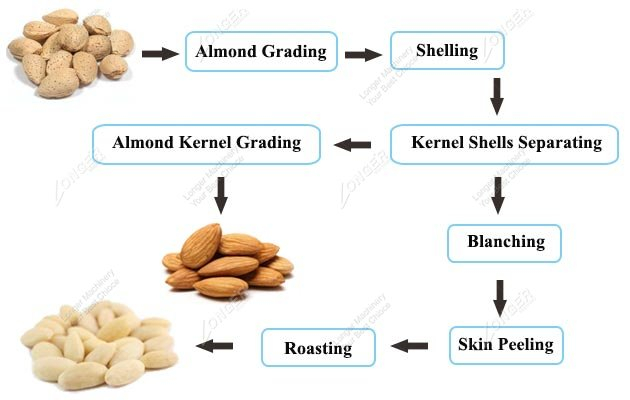 Cashew Nut Processing Flow Chart