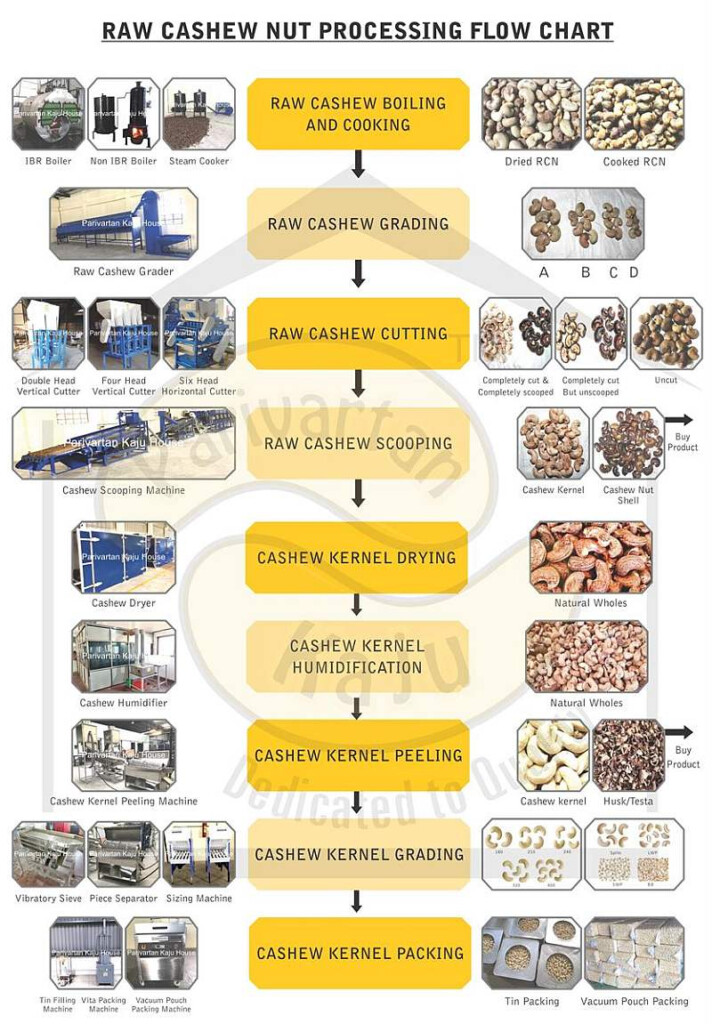 Cashew Nut Processing Flow Chart