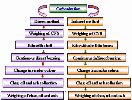 Cashew Nut Processing Flow Chart