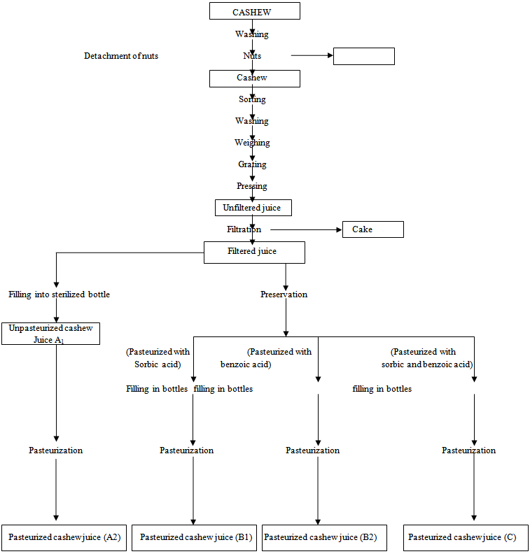 Cashew Nut Processing Flow Chart
