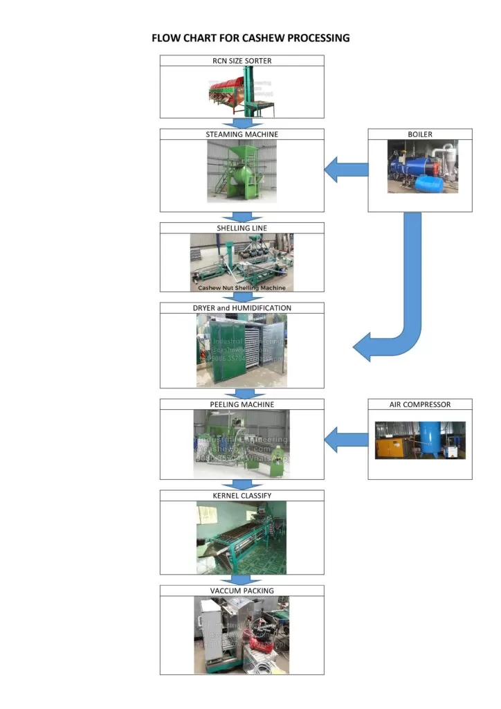 Cashew Processing Flow Chart Cashew Processing Machine For Cashew Factory