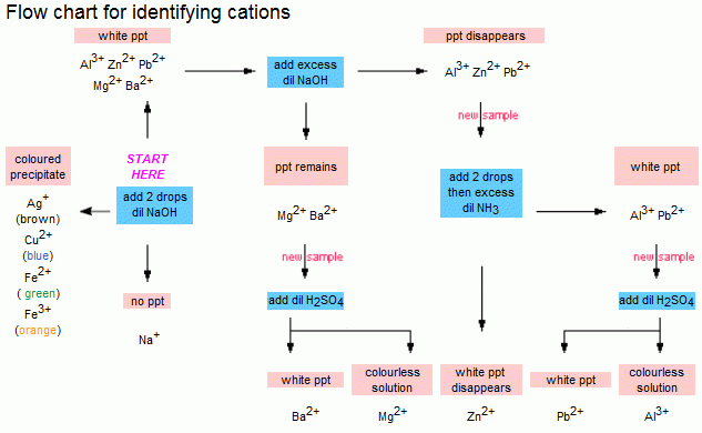 Cation Analysis Flow Chart