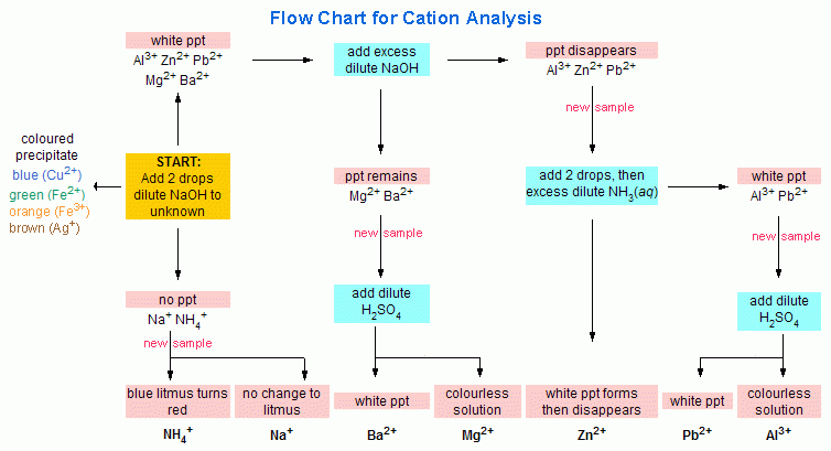Cation Analysis Flow Chart