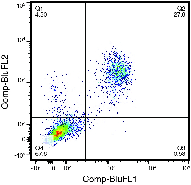 CD Markers For Flow Cytometry Leinco Technologies