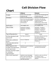 Cell Division Flow Chart docx Cell Division Flow Chart Creates 