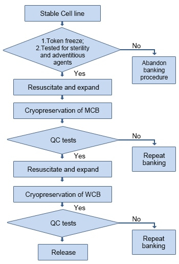 Cell Structure Flow Chart Labb By AG