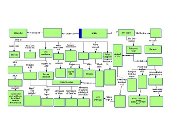 Cells Flow Chart By Venoid Kublall TPT