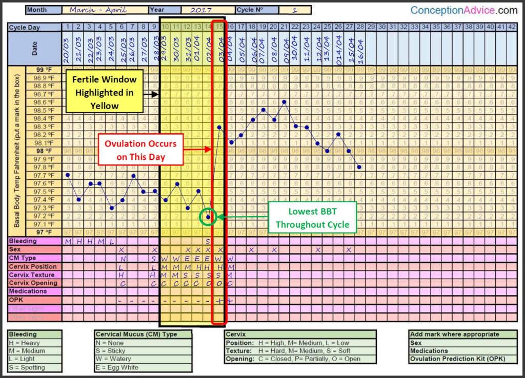 Cervical Mucus Ovulation Chart Ponasa